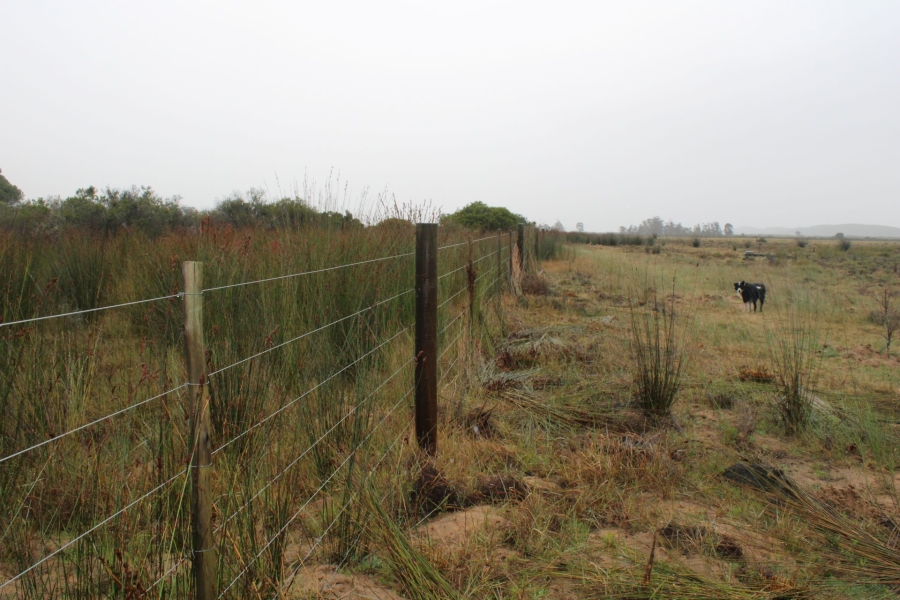 0 Bedroom Property for Sale in Riversdale Rural Western Cape